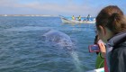 Tourist taking a picture of a gray whale from a boat on the Pacific Coast in Baja California Sur