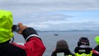 people whale watching in quebec canada