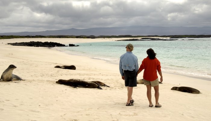 A couple walks hand-in-hand along a pristine white-sand beach in the Galápagos Islands, surrounded by lounging sea lions and turquoise waters under a cloudy sky.