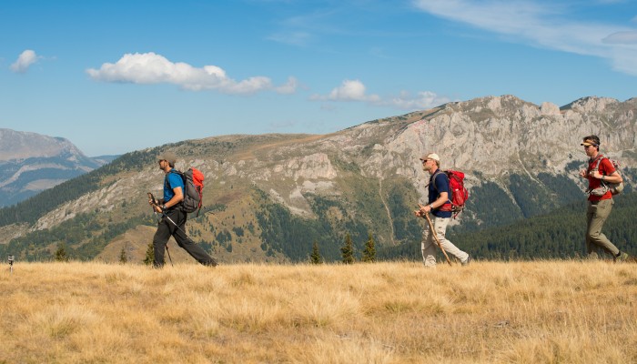 Three men walking across a yellow grass meadow with peaks of the Balkans and a blue sky behind them