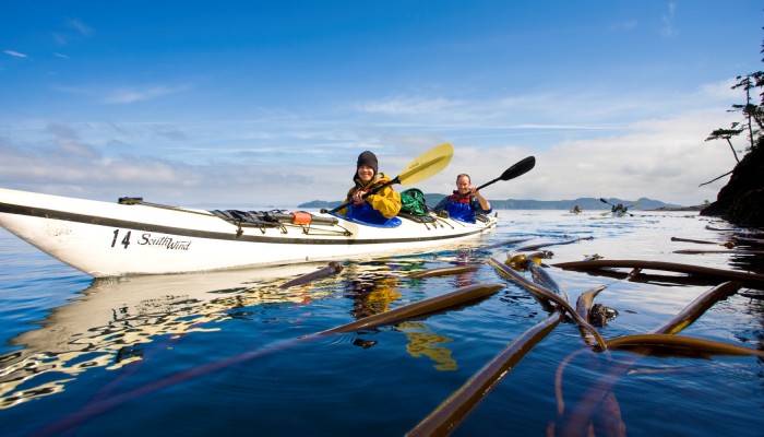 A white tandem sea kayak paddling through a bulwell kelp section of the Johnstone Strait in British Columbia